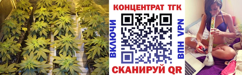 Купить где  Чебаркуль  ТГК Wax 