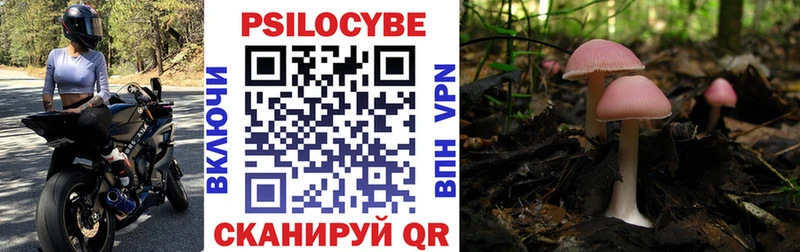 Купить  Чебаркуль  Галлюциногенные грибы Cubensis 